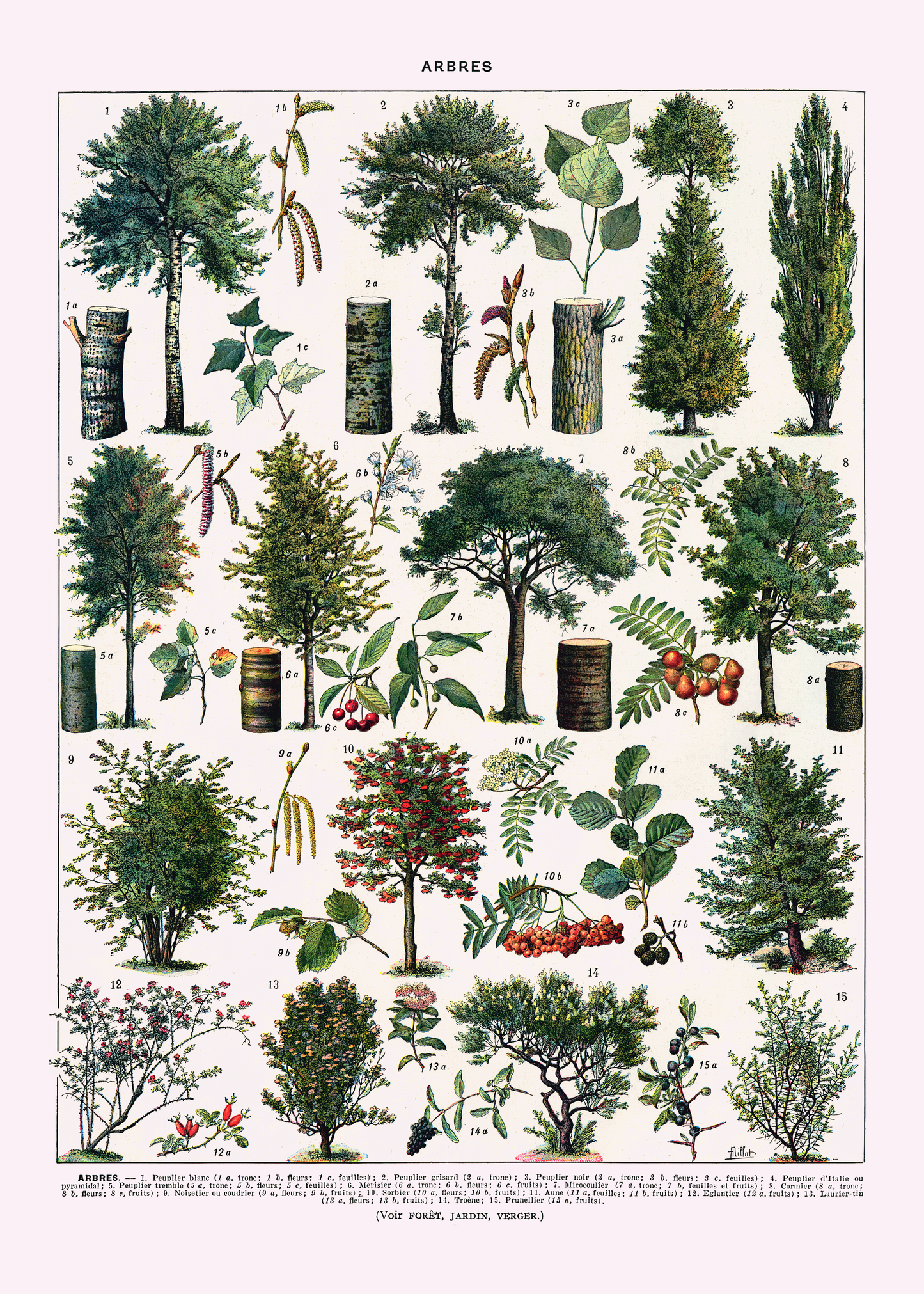 Trær - Vintage kunstplakat - Retrotrykk