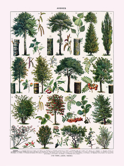 Trær - Vintage kunstplakat - Retrotrykk