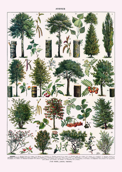 Trær - Vintage kunstplakat - Retrotrykk