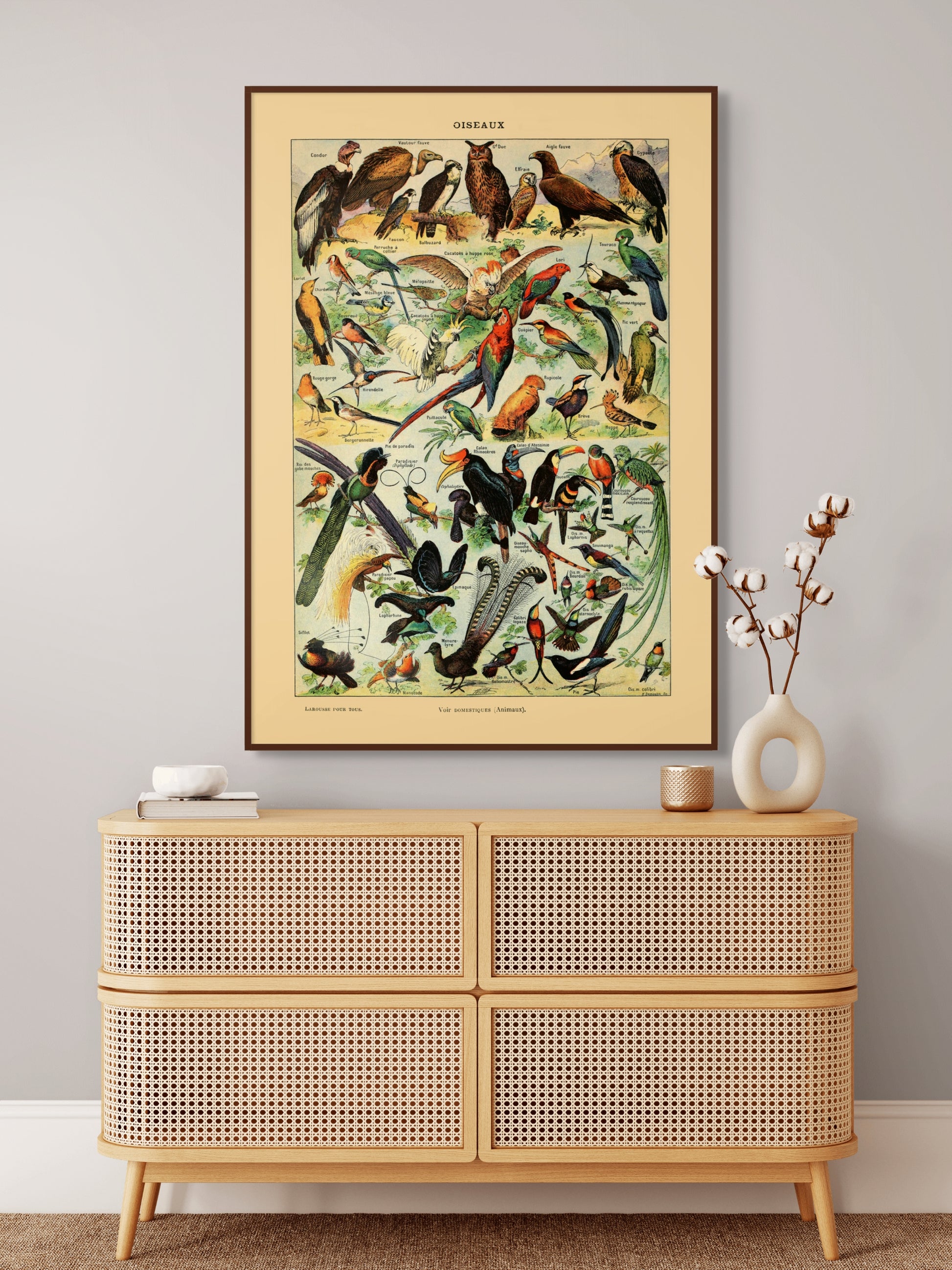 Samling av fugler - Vintage kunstplakat - Retrotrykk