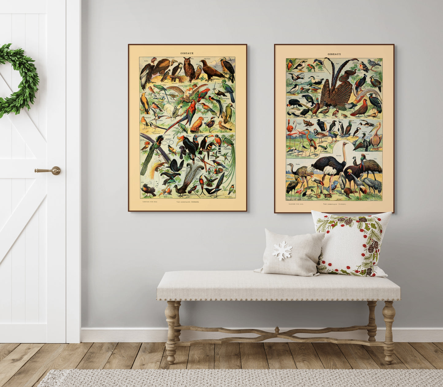 Samling av fugler - Vintage kunstplakat - Retrotrykk