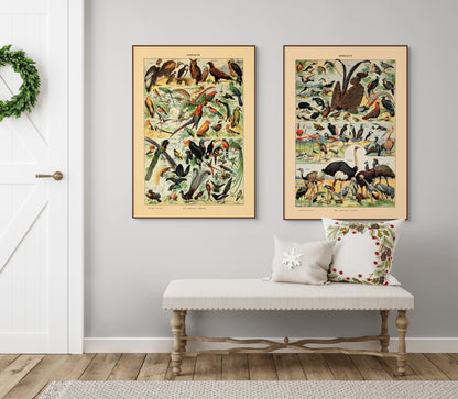 Samling av fugler - Vintage kunstplakat - Retrotrykk