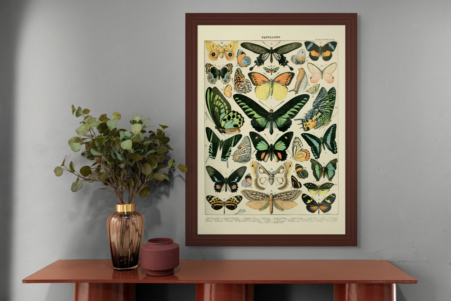 Sommerfugler - Vintage kunstplakat - Retrotrykk