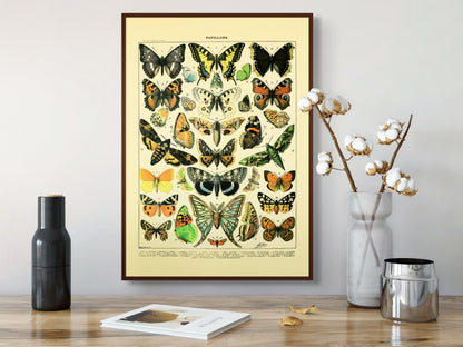 Sommerfugler - Vintage kunstplakat - Retrotrykk