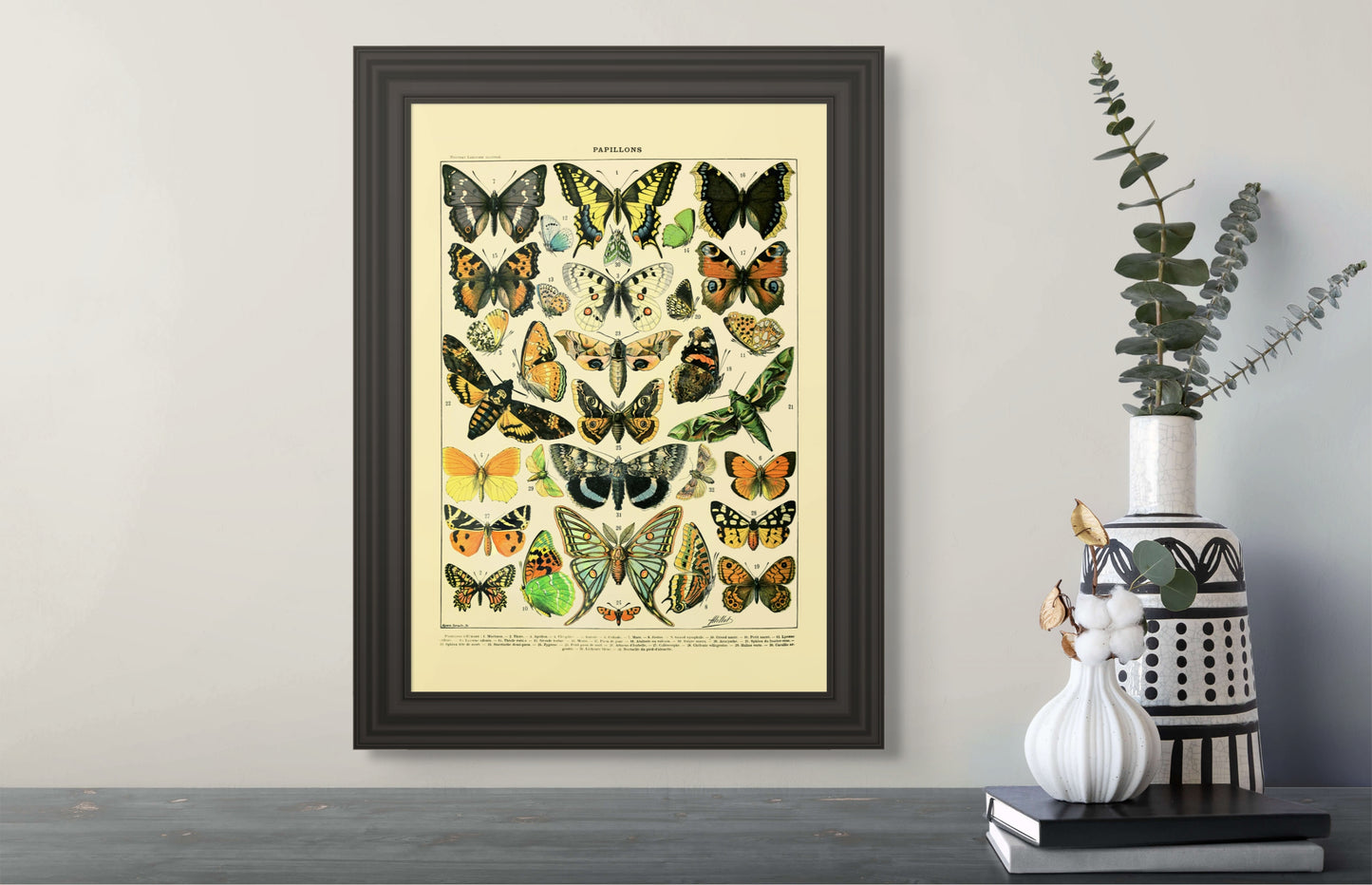 Sommerfugler - Vintage kunstplakat - Retrotrykk