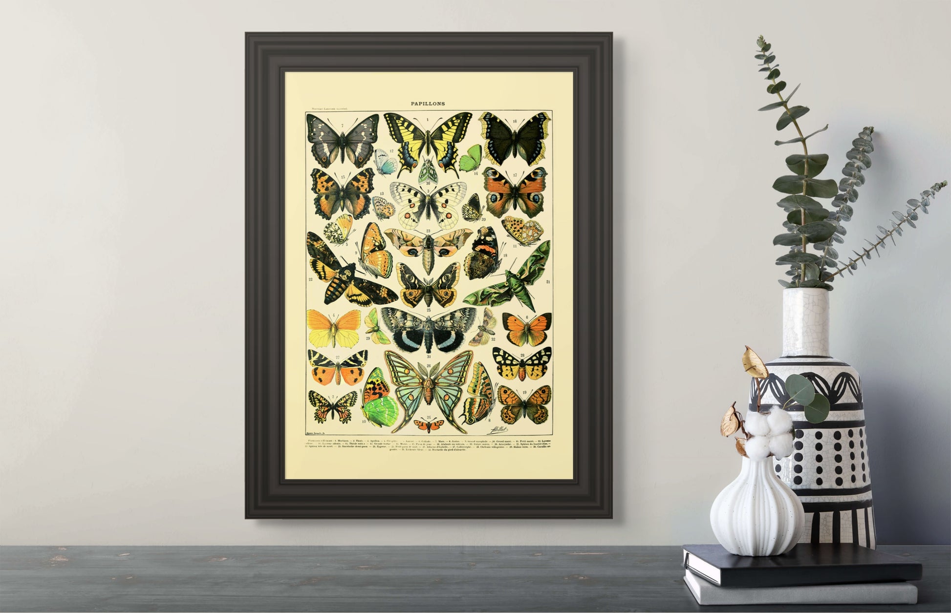 Sommerfugler - Vintage kunstplakat - Retrotrykk