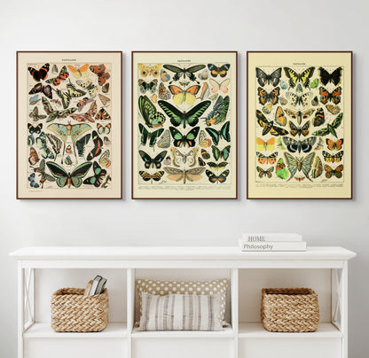 Sommerfugler - Vintage kunstplakat - Retrotrykk
