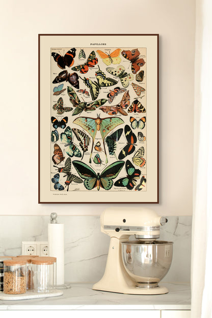 Sommerfugler - Vintage kunstplakat - Retrotrykk