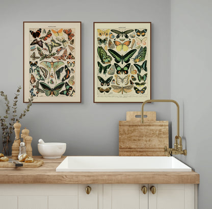 Sommerfugler - Vintage kunstplakat - Retrotrykk