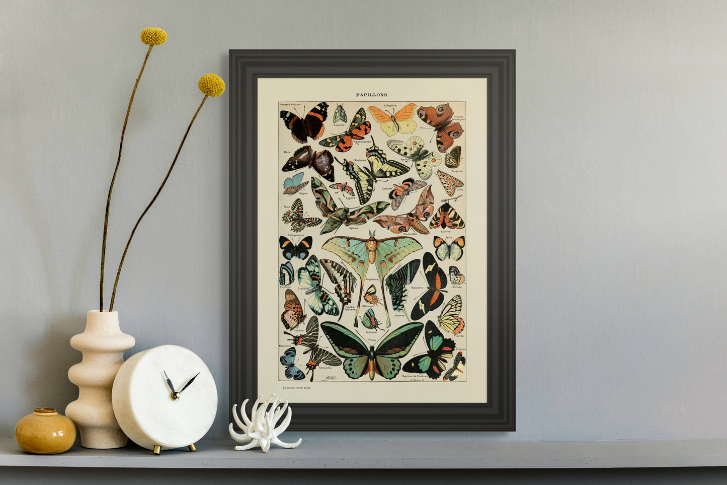 Sommerfugler - Vintage kunstplakat - Retrotrykk