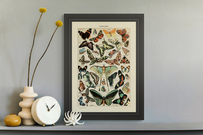 Sommerfugler - Vintage kunstplakat - Retrotrykk