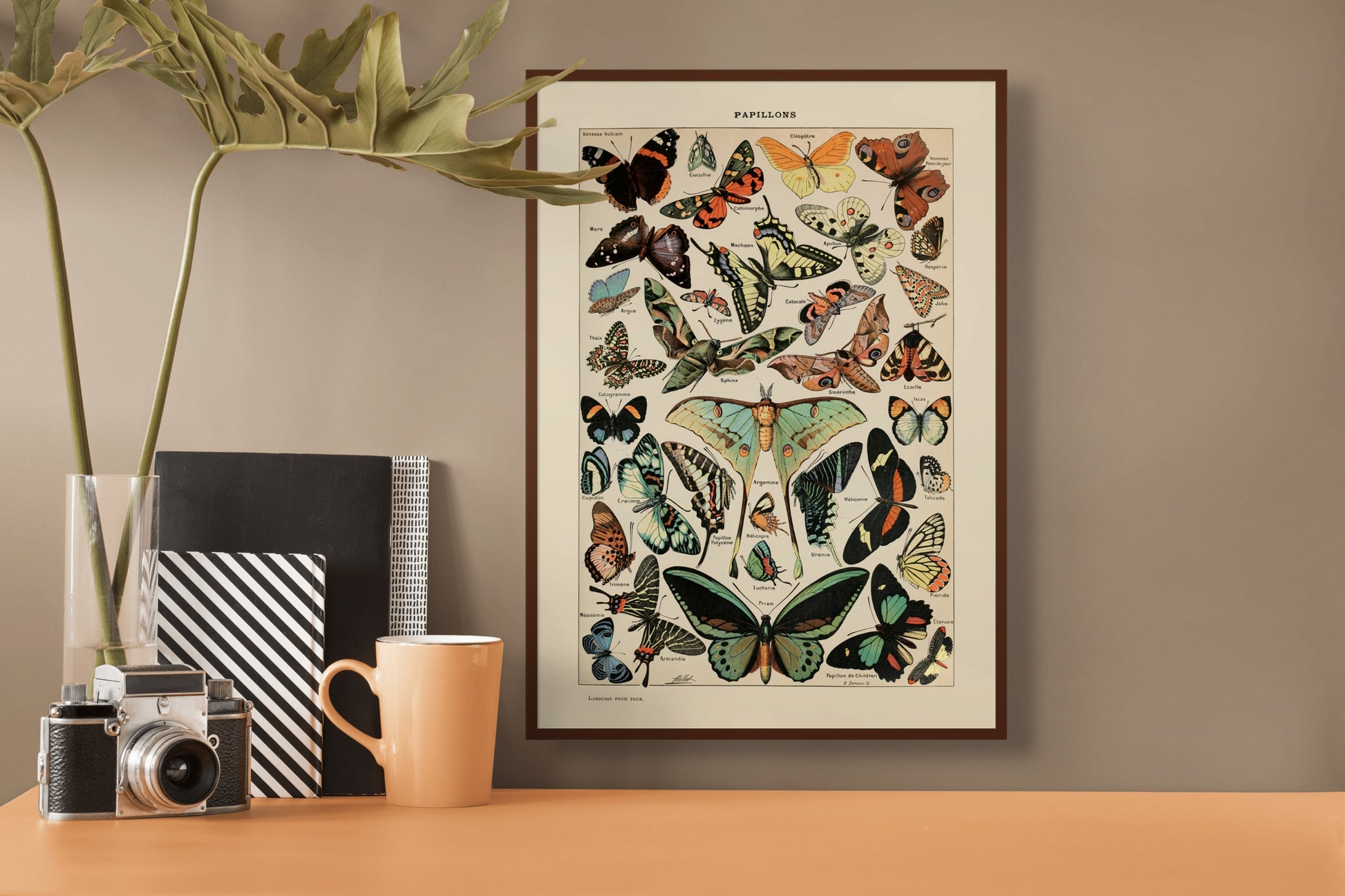 Sommerfugler - Vintage kunstplakat - Retrotrykk