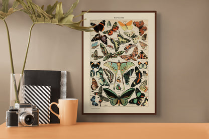 Sommerfugler - Vintage kunstplakat - Retrotrykk