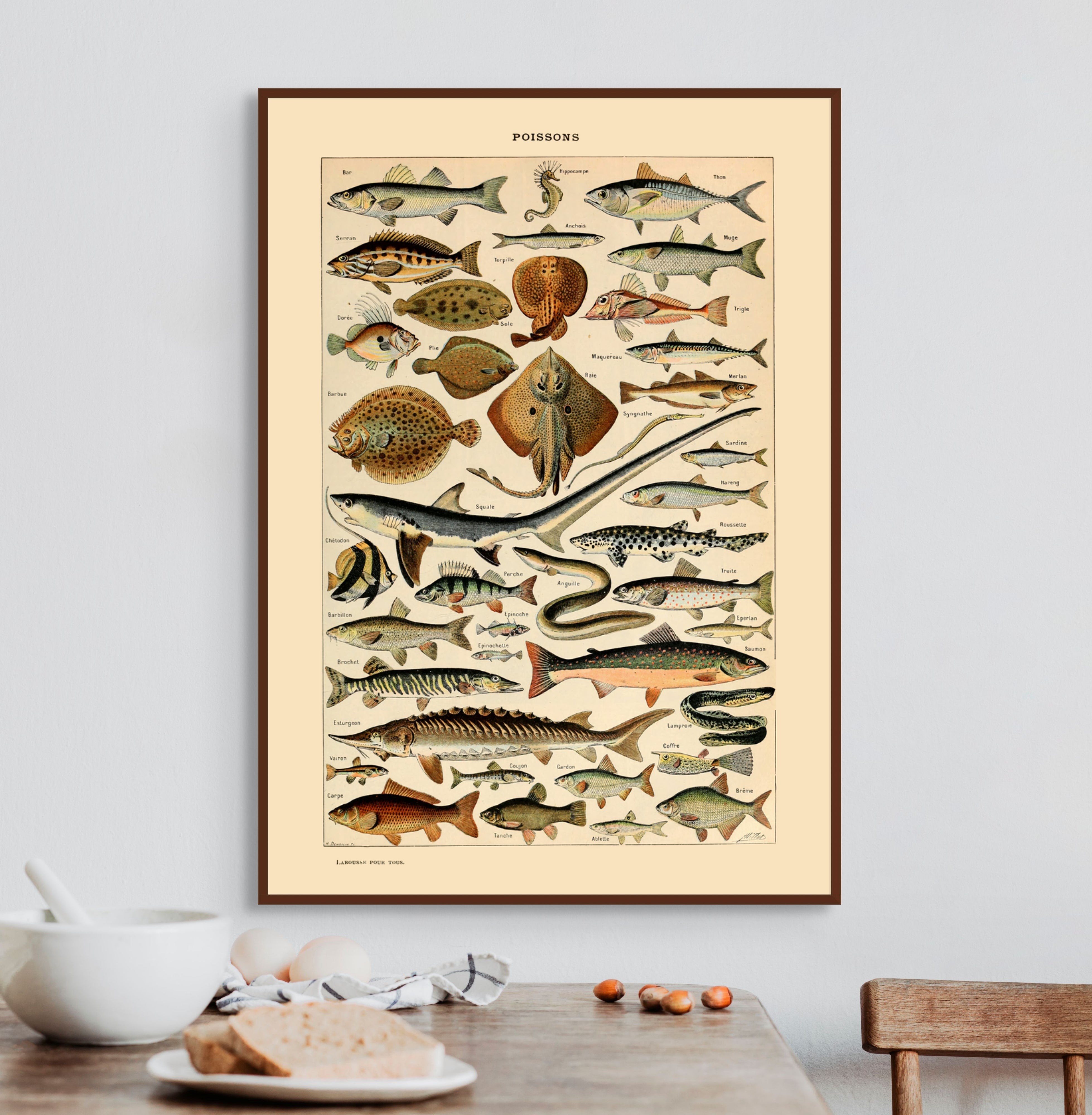 Fisk - Vintage kunstplakat - Retrotrykk