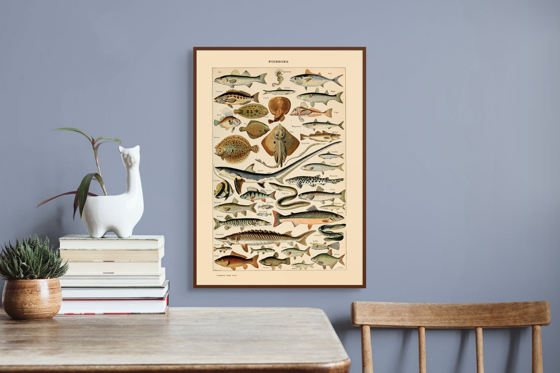 Fisk - Vintage kunstplakat - Retrotrykk