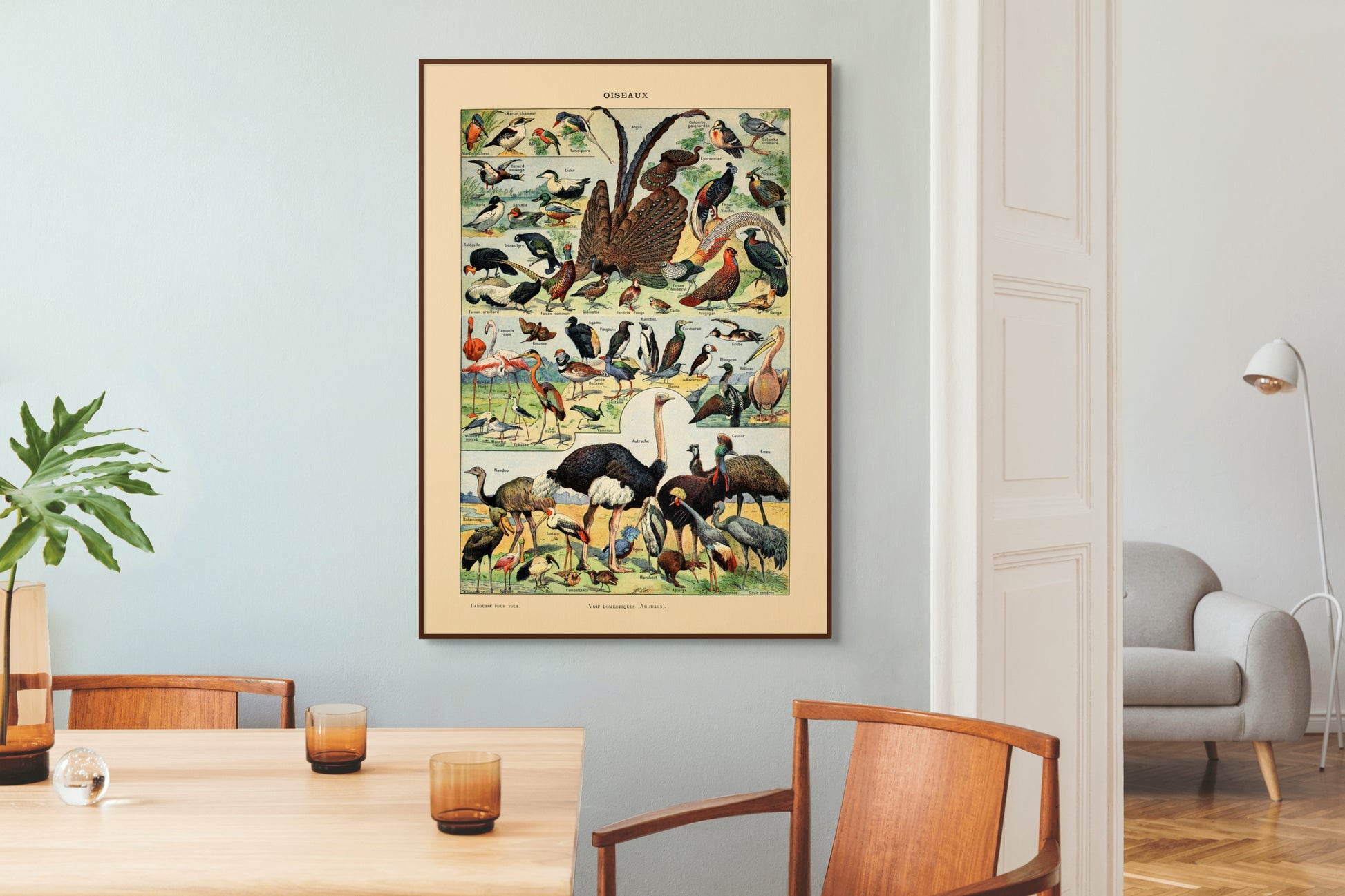 Samling av fugler - Vintage kunstplakat - Retrotrykk