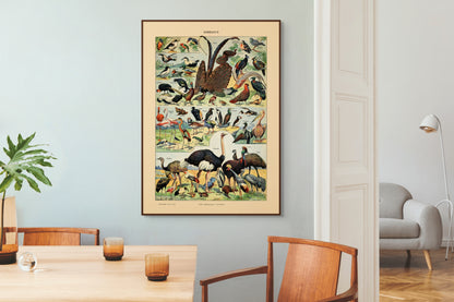 Samling av fugler - Vintage kunstplakat - Retrotrykk