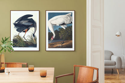 Stor blåhegre – Vintage kunstplakat - Retrotrykk