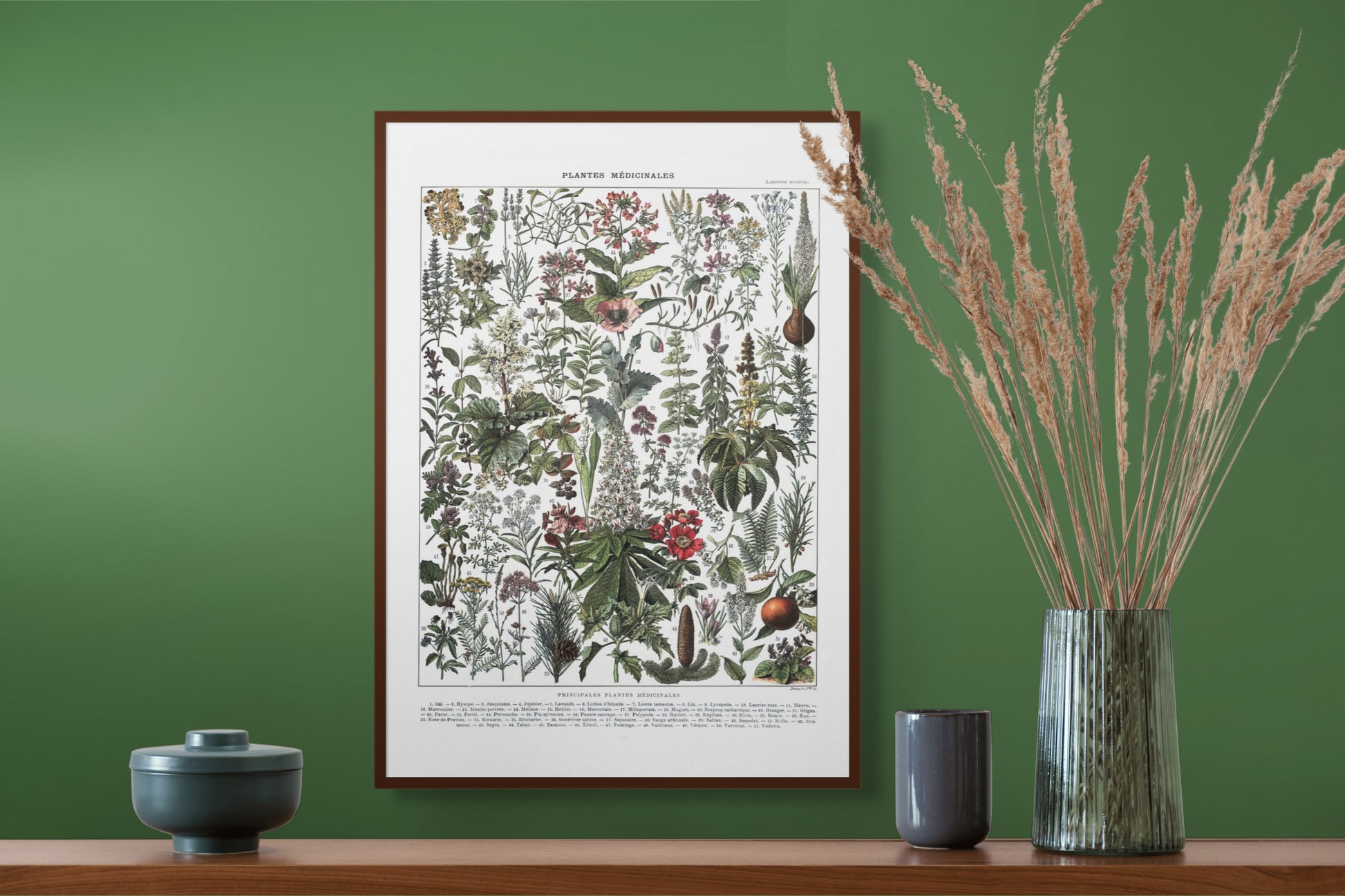 Medisinske planter - Vintage kunstplakat - Retrotrykk