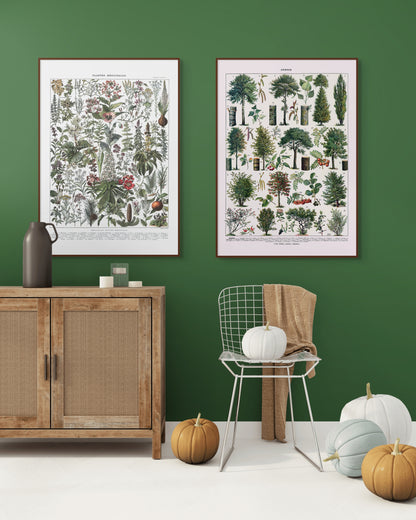 Trær - Vintage kunstplakat - Retrotrykk