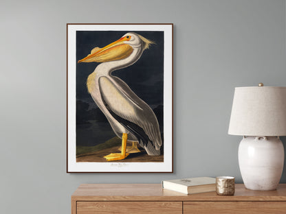 Pelikan – Vintage kunstplakat - Retrotrykk