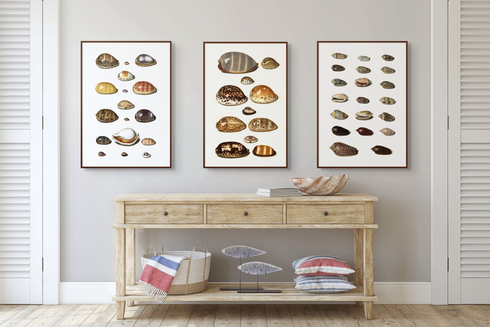 Sjøskjell - Vintage kunstplakat - Retrotrykk