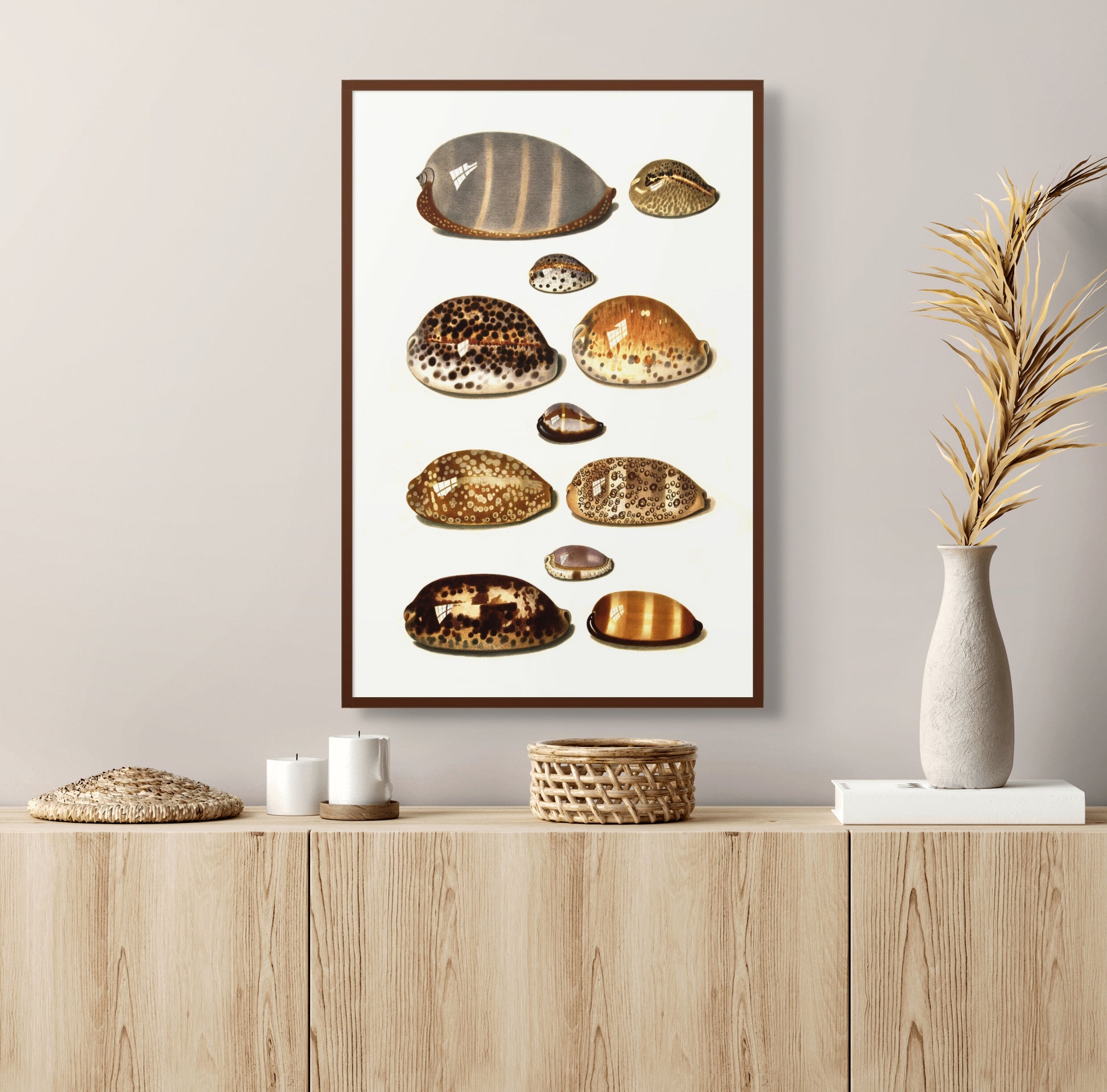 Sjøskjell - Vintage kunstplakat - Retrotrykk