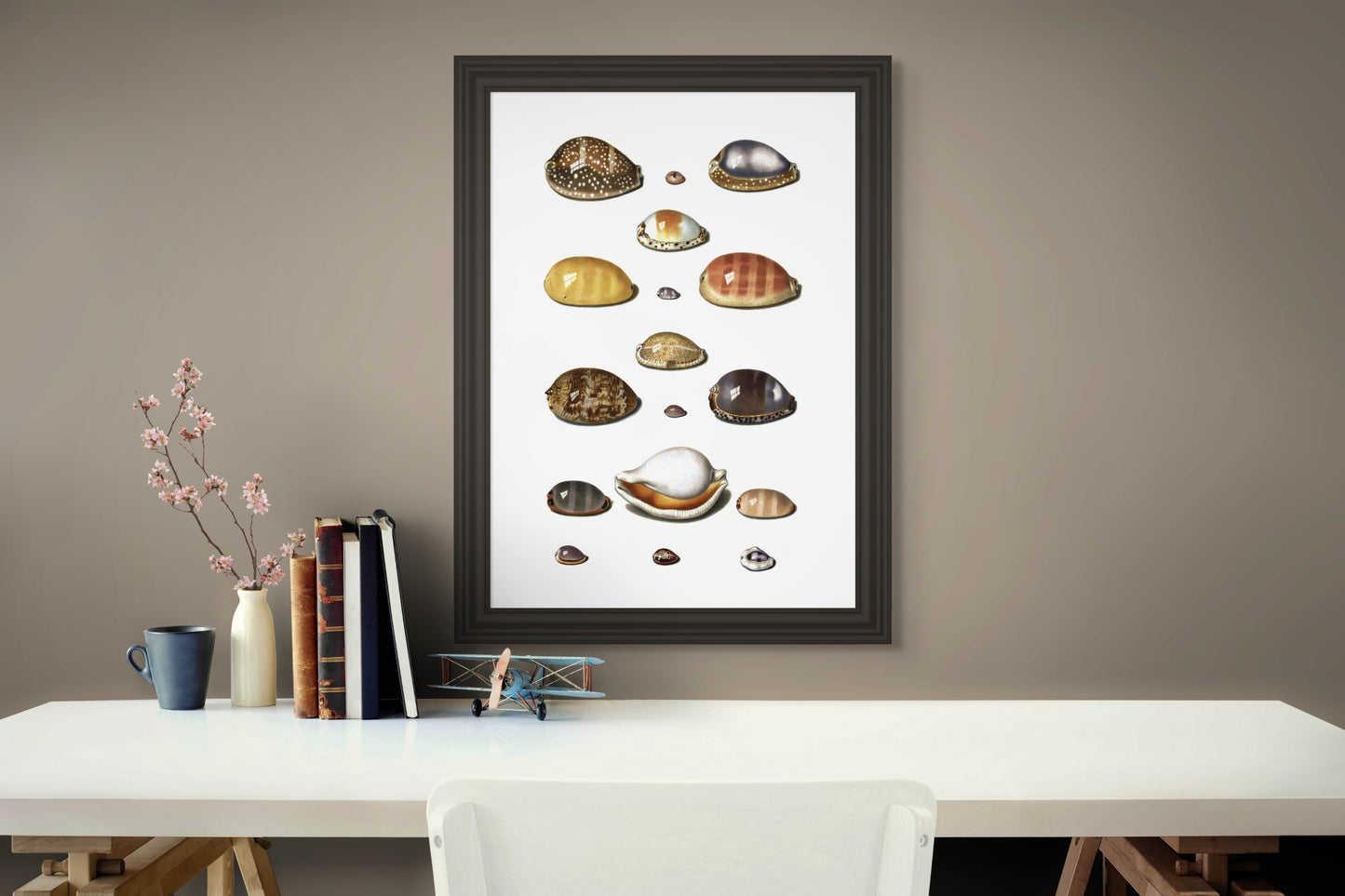 Sjøskjell - Vintage kunstplakat - Retrotrykk