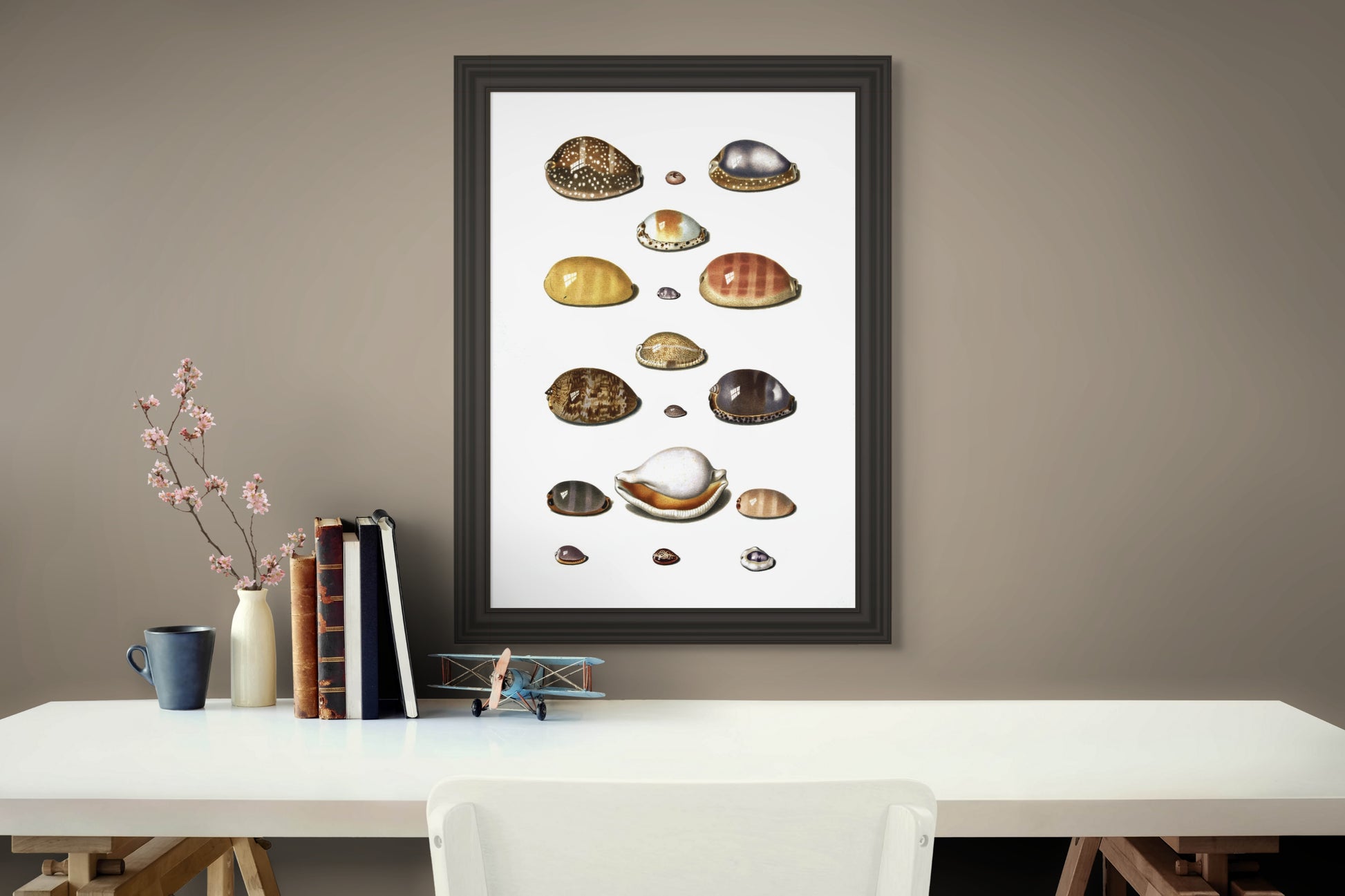 Sjøskjell - Vintage kunstplakat - Retrotrykk