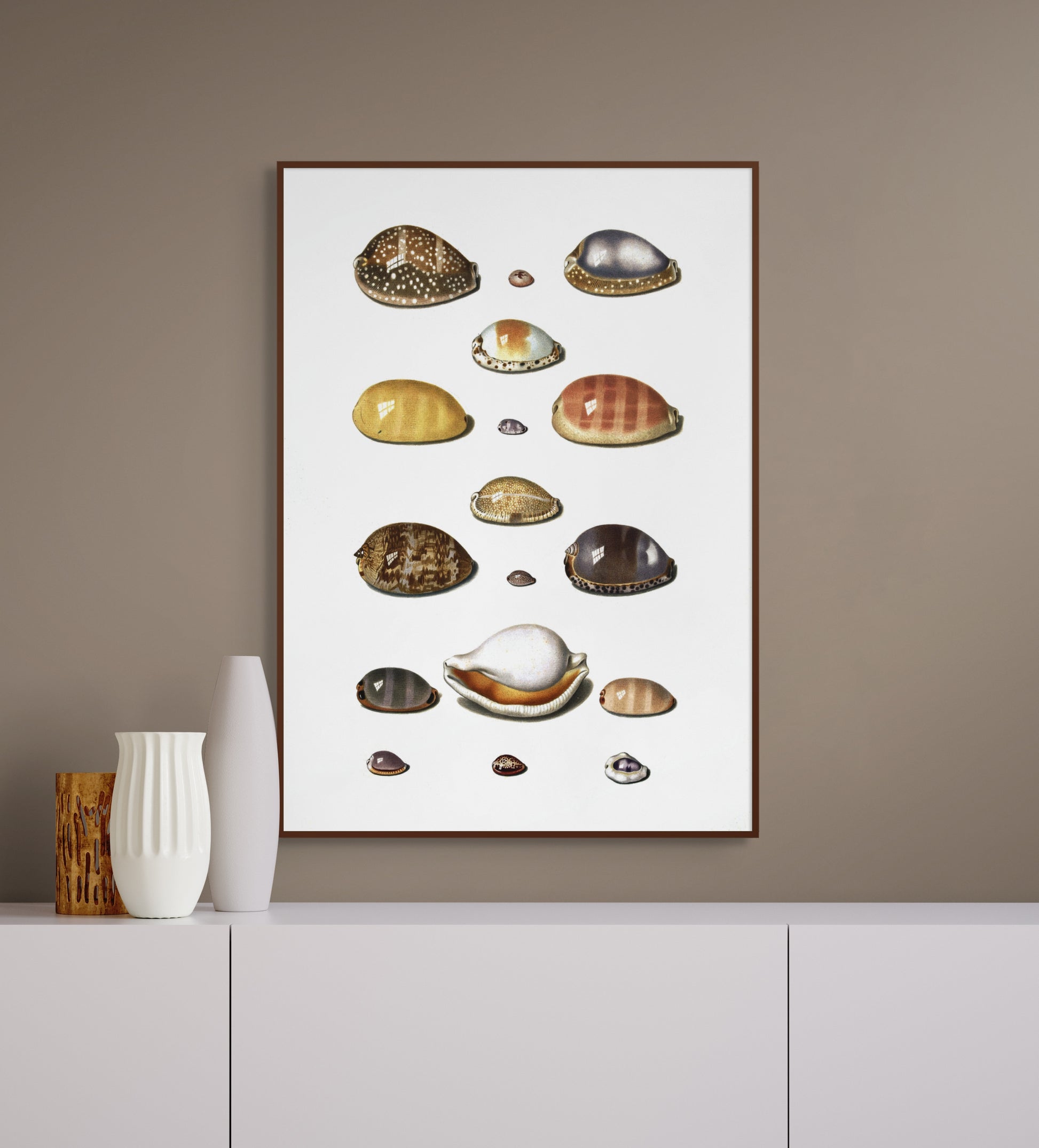 Sjøskjell - Vintage kunstplakat - Retrotrykk