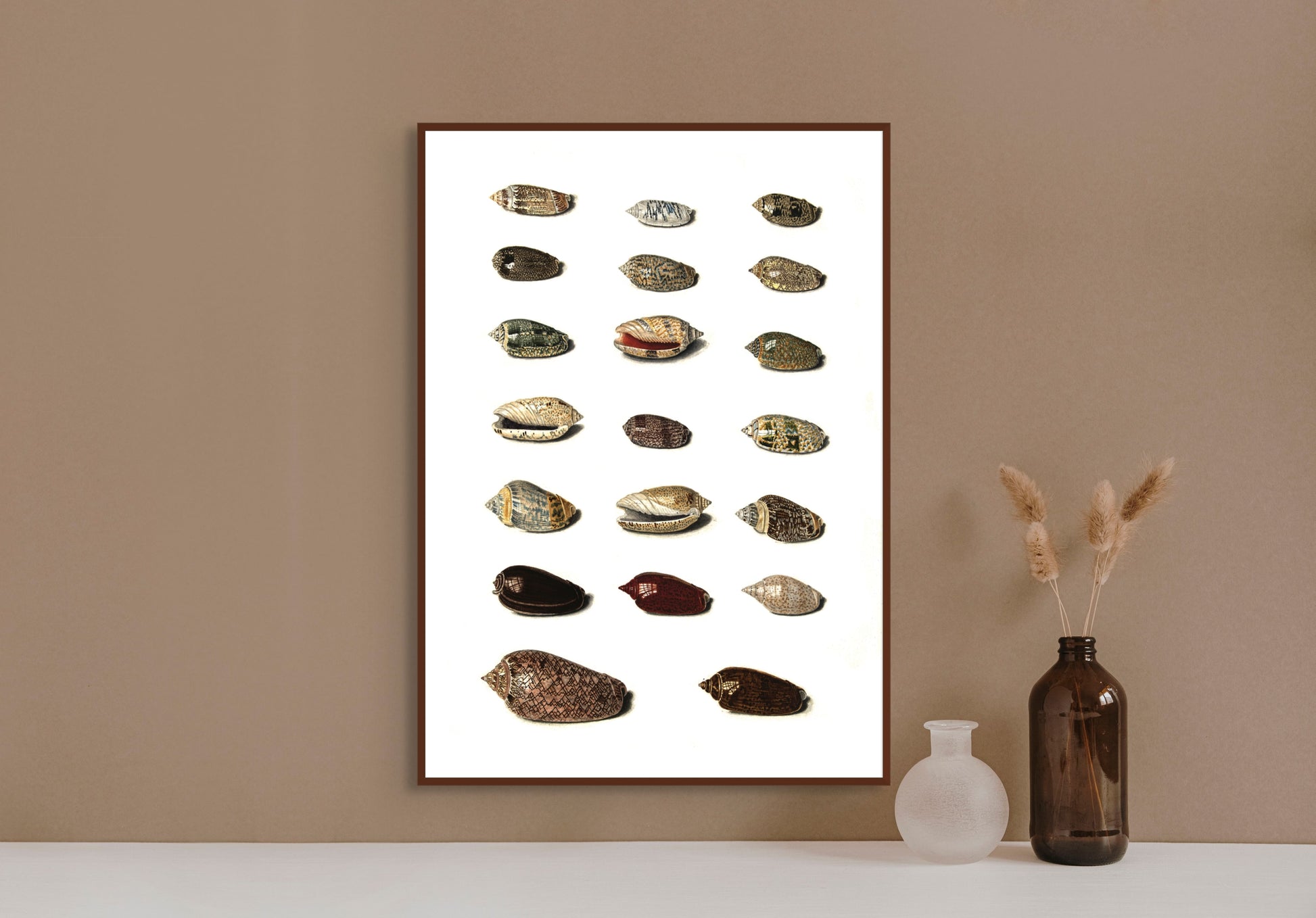 Sjøskjell - Vintage kunstplakat - Retrotrykk