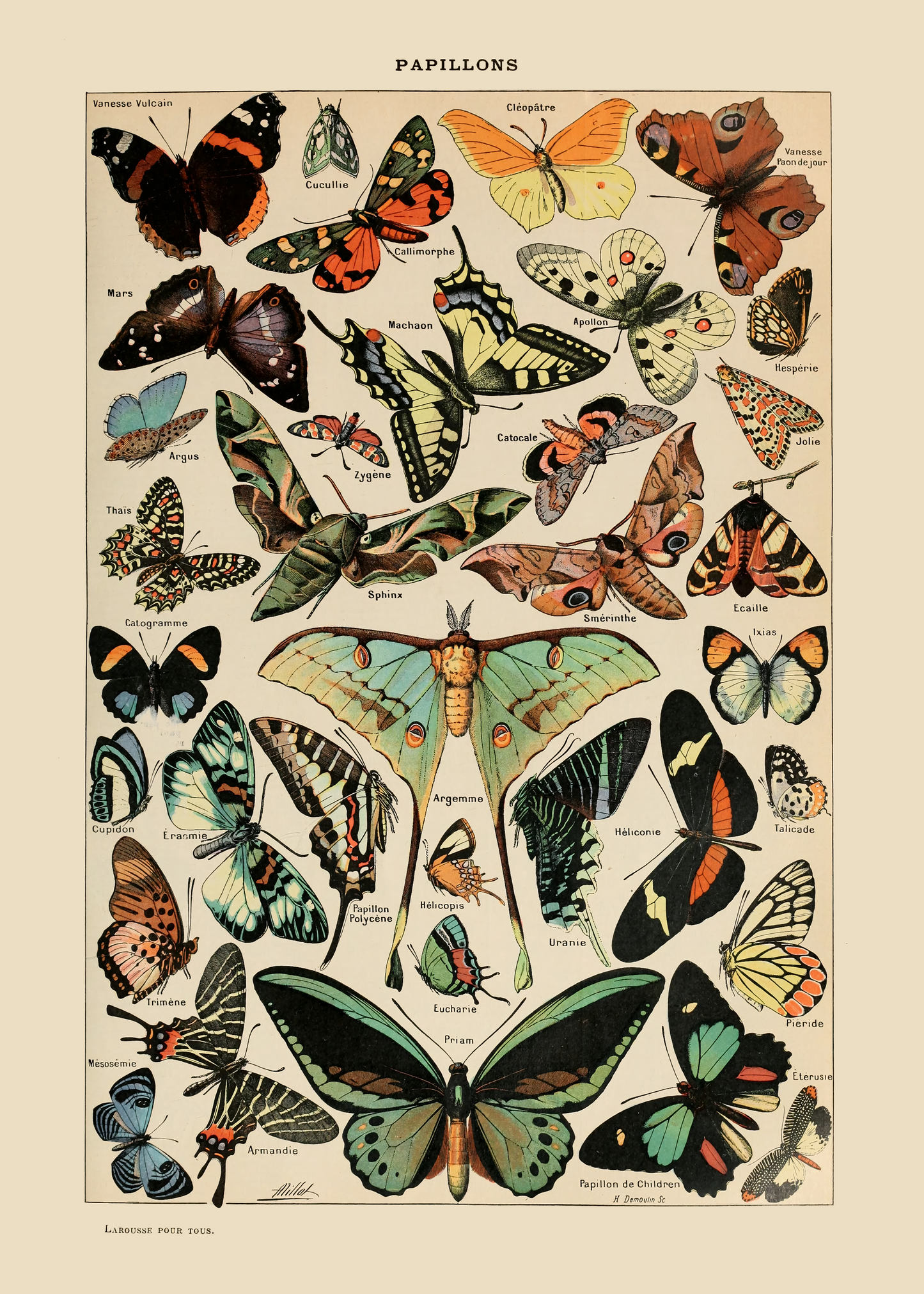 Sommerfugler - Vintage kunstplakat - Retrotrykk