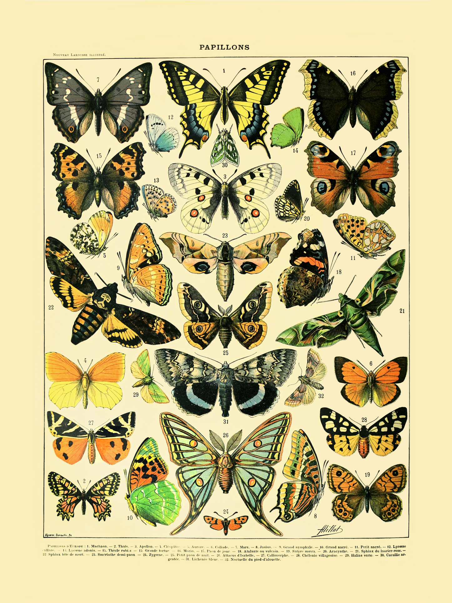 Sommerfugler - Vintage kunstplakat - Retrotrykk