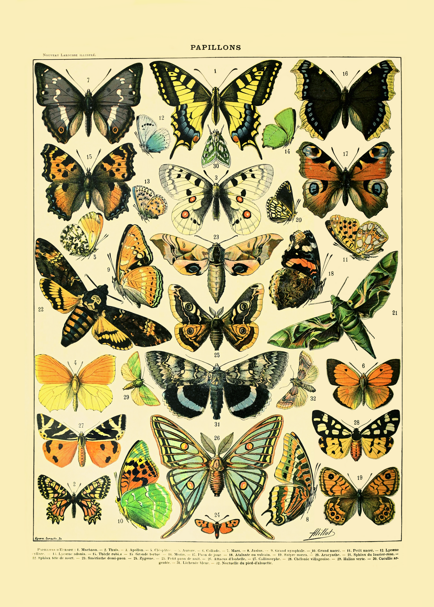 Sommerfugler - Vintage kunstplakat - Retrotrykk