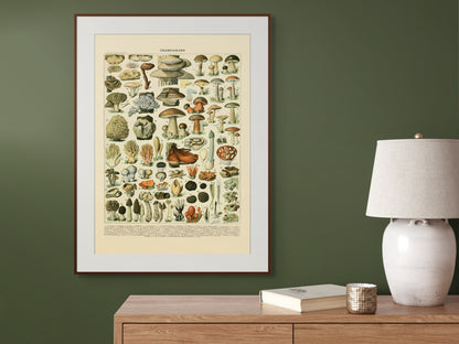 Sopp - Vintage kunstplakat - Retrotrykk