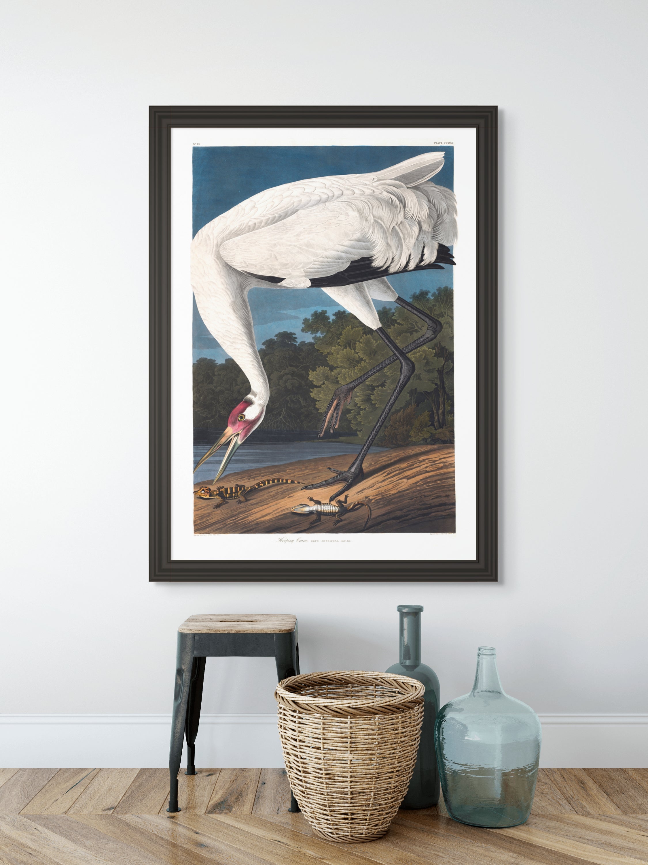 Trompetertrane - Vintage kunstplakat - Retrotrykk