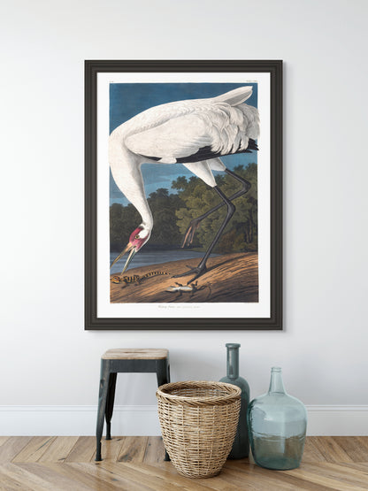 Trompetertrane - Vintage kunstplakat - Retrotrykk