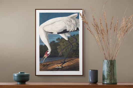 Trompetertrane - Vintage kunstplakat - Retrotrykk