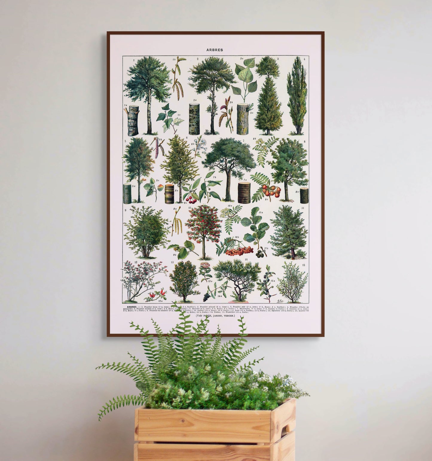 Trær - Vintage kunstplakat - Retrotrykk